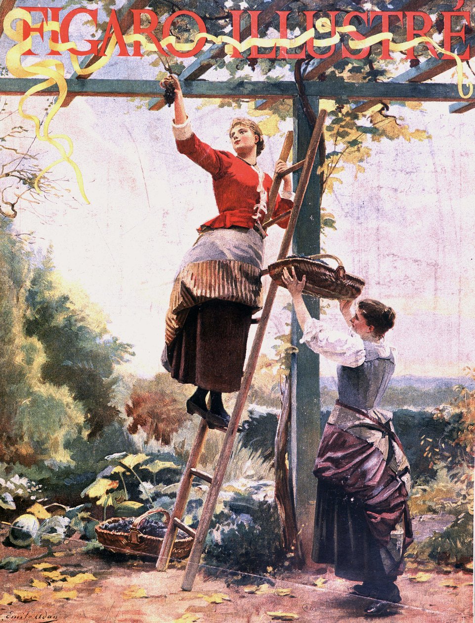 Szőlőszedés függesztett szőlőben – „” Figaro illustré”-ban”, 1891. okt. alkotó: Unknown artist