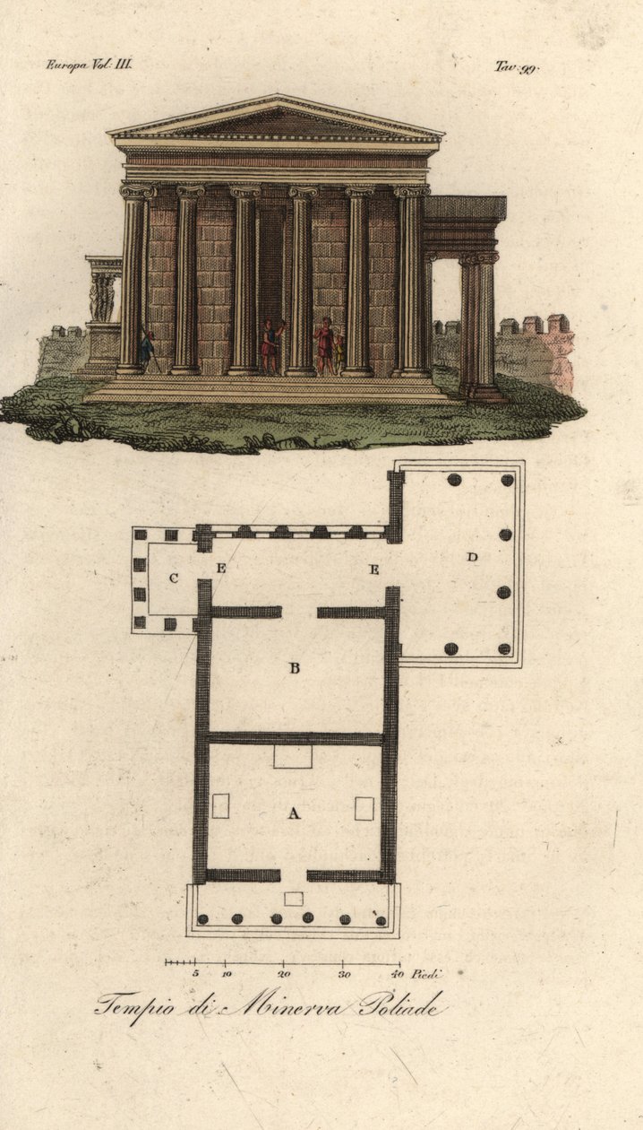 Az Erechtheion vagy Erechtheum A, Neptun B temploma, Minerva Polias temploma a Caryatidák tornácával C és Pandrosus vagy Pandrosion D terve és magassága alkotó: Unknown artist