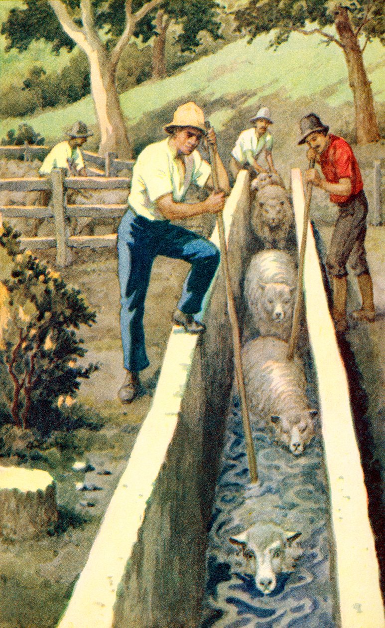  alkotó: Unknown Artist