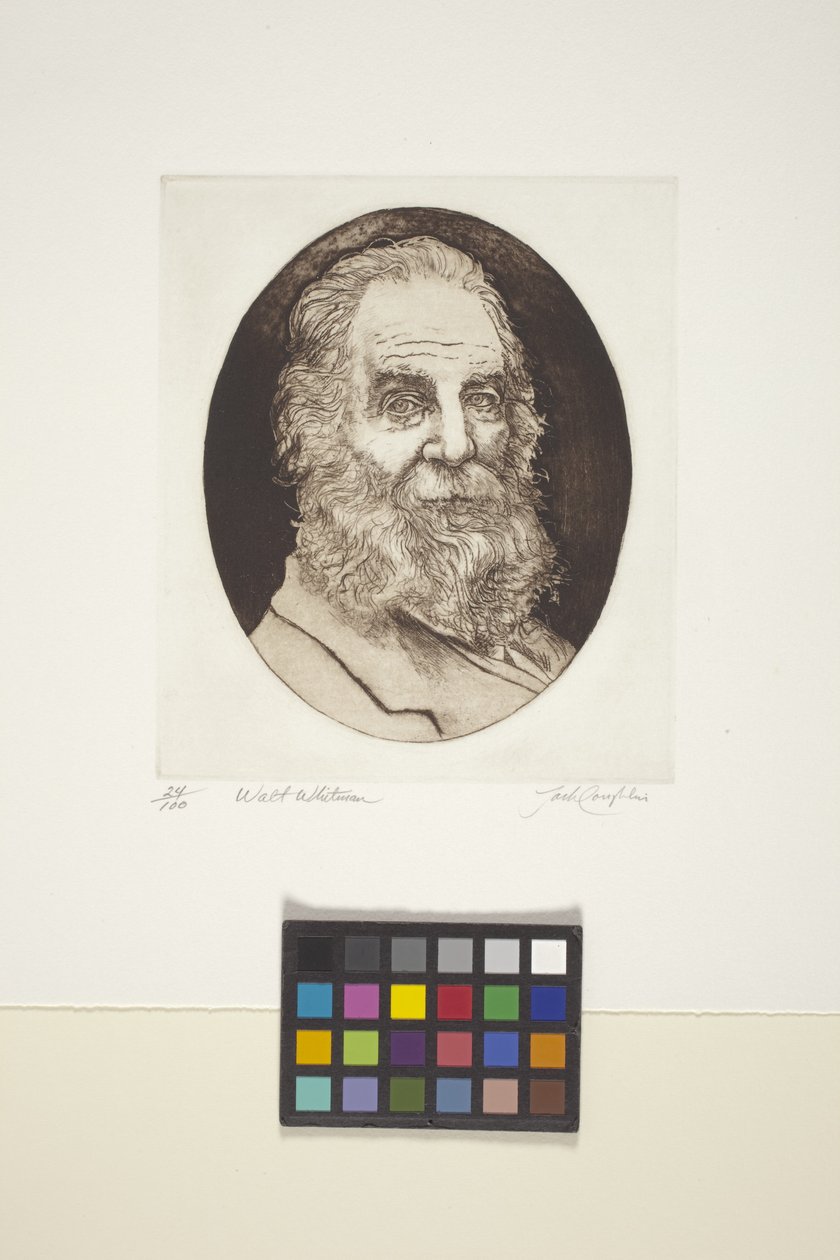 Walt Whitman portréja (tinta, nyomat) alkotó: Unknown artist