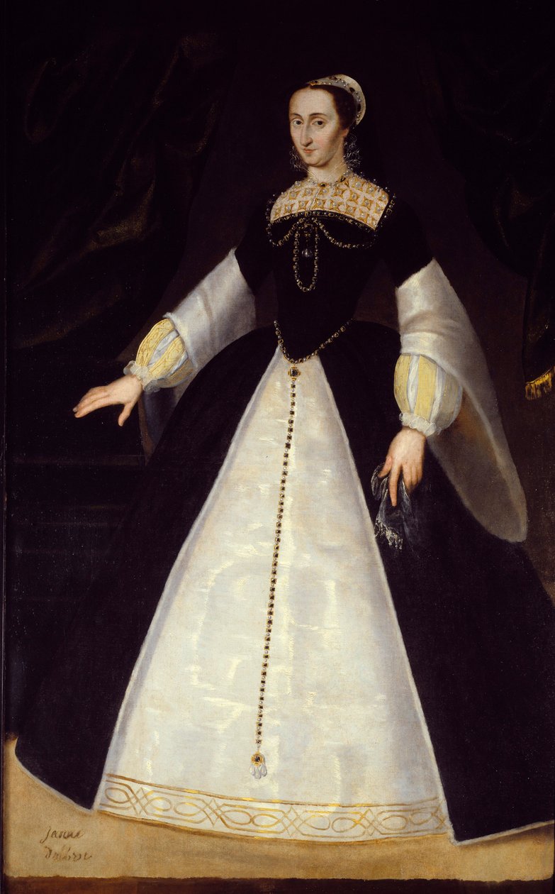 Portré Joan of Albretről, Navarra királynőjéről (1528-1572), IV. Henrik Anonymous festmény édesanyjáról. 16. század V. 1,96x1,22 m Pau, kastélymúzeum alkotó: Unknown artist