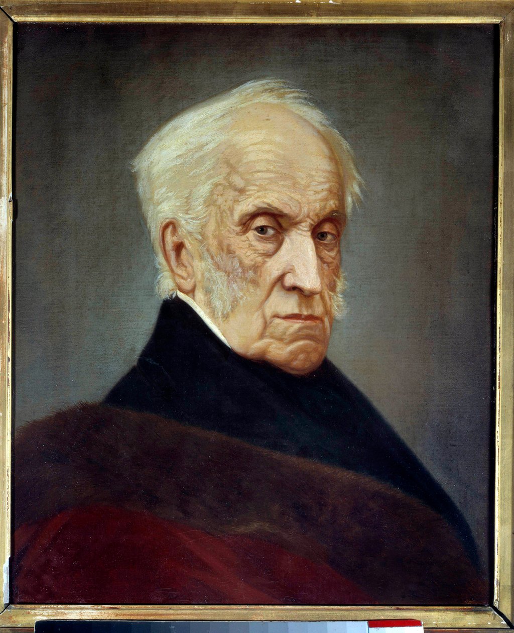 Adam Jerzy Czartoryski (1770-1861) portréja lengyel politikus, a felkelő kormány elnöke 1831-ben Anonymous festmény. 19. századi Párizs, Lengyel Könyvtár alkotó: Unknown artist