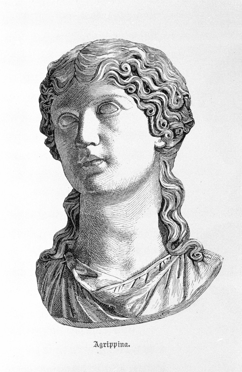 Fiatal Agrippine (16-59) portréja. alkotó: Unknown artist