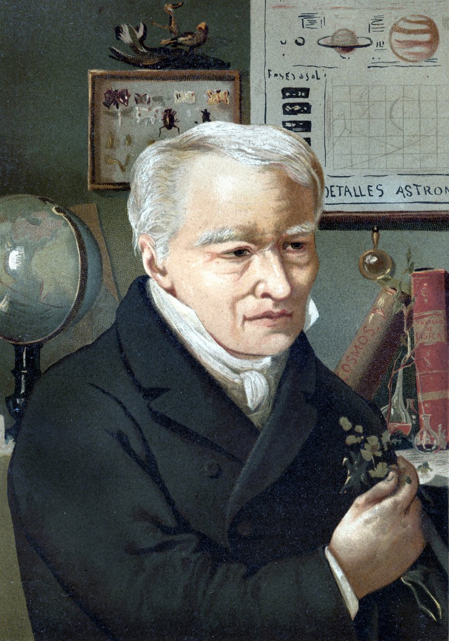 Alexander Von Humboldt portréja (Humboldt Sándor alkotó: Unknown artist