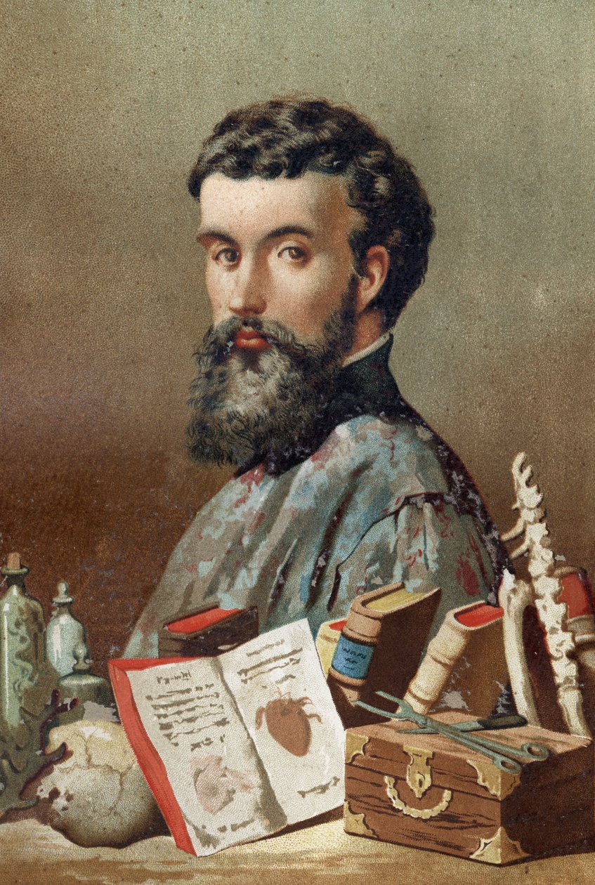 André Vésale (1514-1564), holland anatómus (latinul: Andrea Vesalius, hollandul: Andries Van Wesel) portréja Louis Figuier „Tudomány és emberei” című művéből. Barcelona 1881. alkotó: Unknown artist