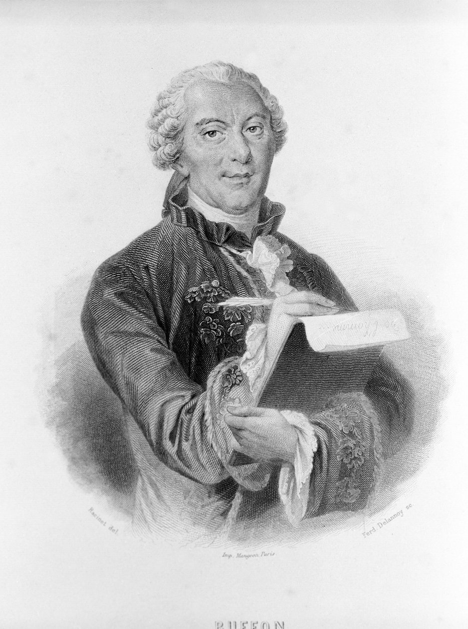 Buffon (1707-1788) francia természettudós és író portréja. alkotó: Unknown artist