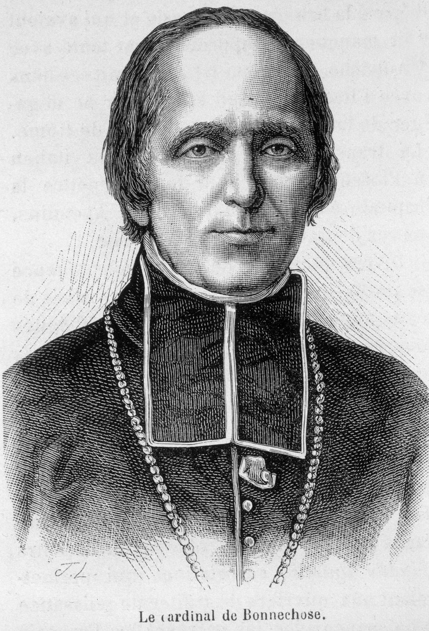 de Bonnechose bíboros portréja alkotó: Unknown artist