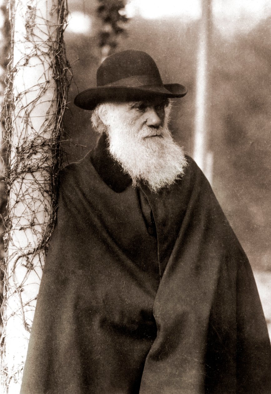 Charles Darwin (1809-1882) portréja alkotó: Unknown artist