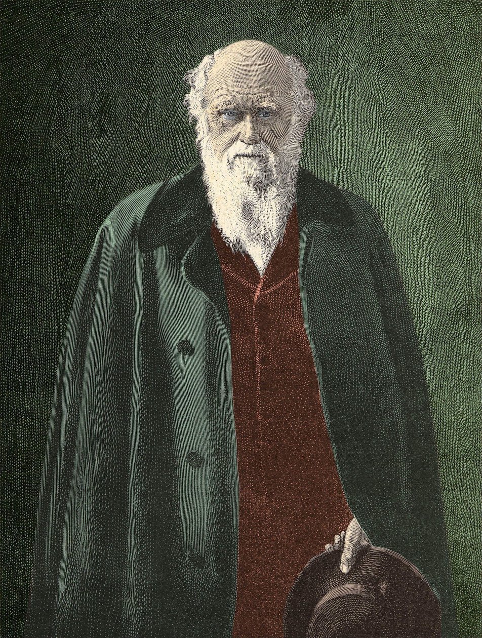 Charles Darwin portréja (1809-1882) alkotó: Unknown artist