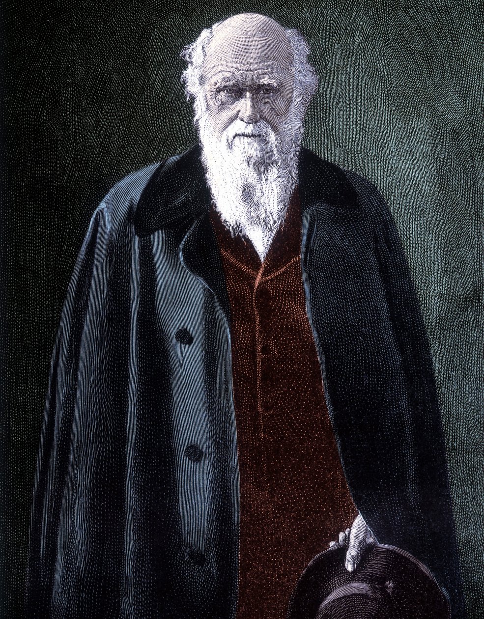 Charles Darwin brit természettudós (1809-1882) portréja alkotó: Unknown artist