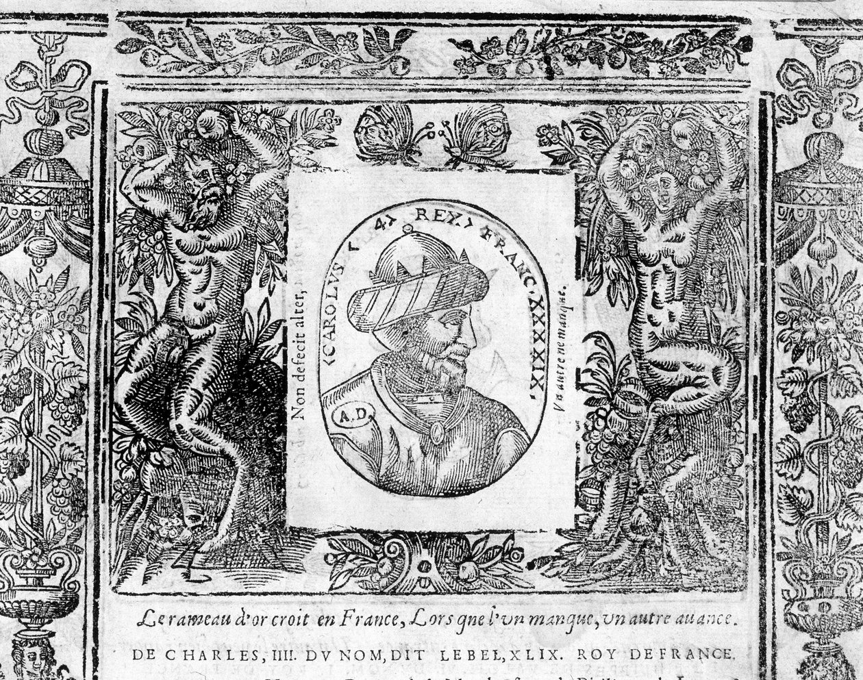 IV. Le Bel Károly, 1322 és 1328 közötti francia király portréja. alkotó: Unknown artist
