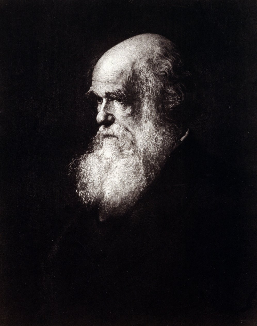 Charles Robert Darwin (1809-1882) portréja alkotó: Unknown artist