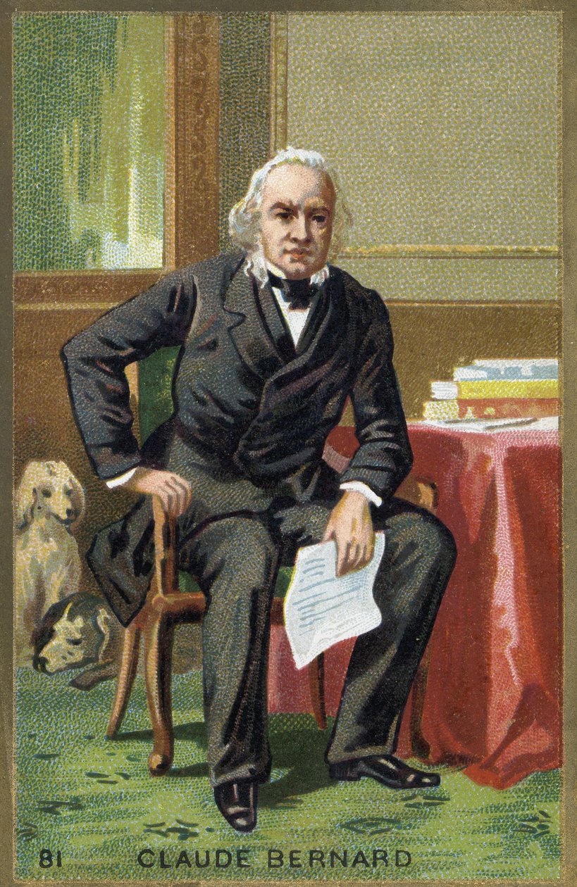 Claude Bernard (1813-1878) francia fiziológus portréja. alkotó: Unknown artist