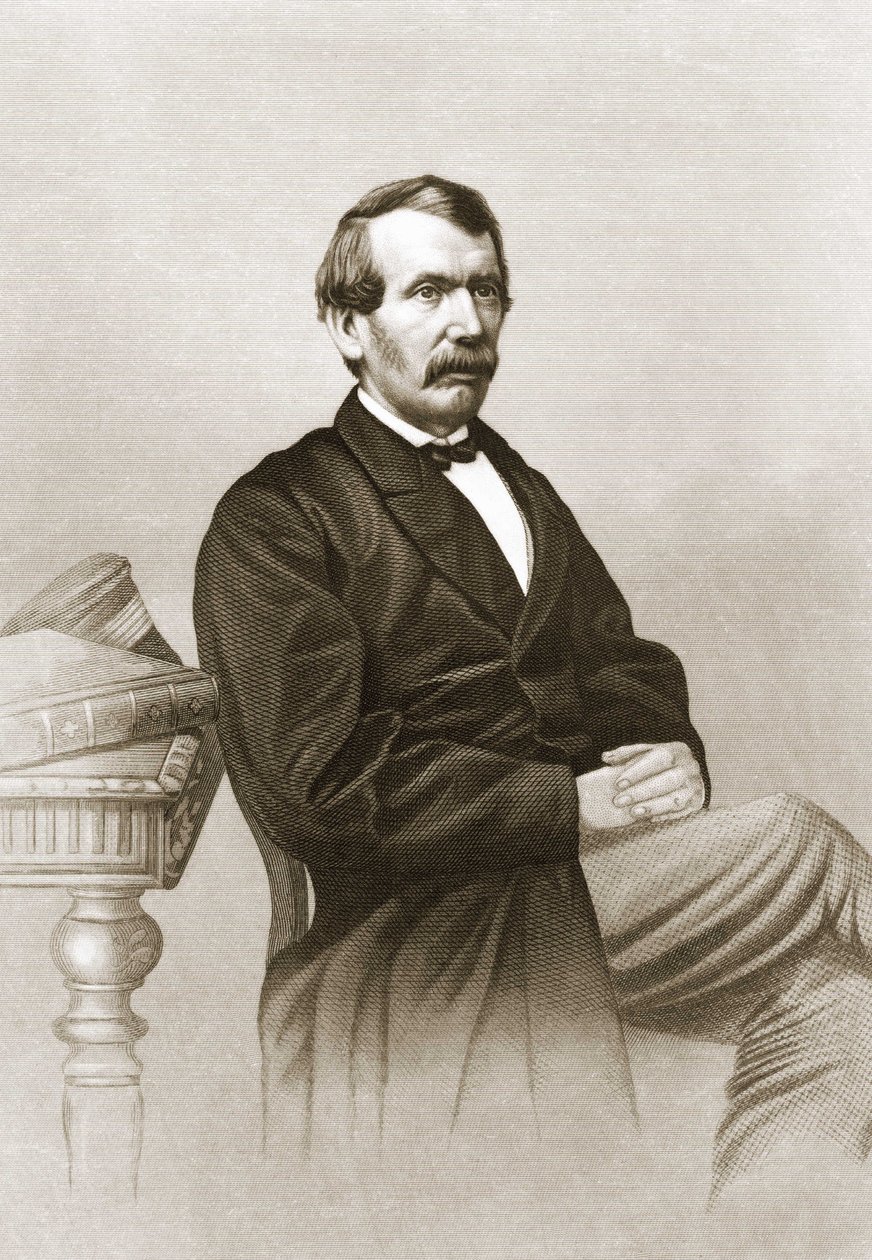 David Livingstone (1813-1873) portréja. alkotó: Unknown artist