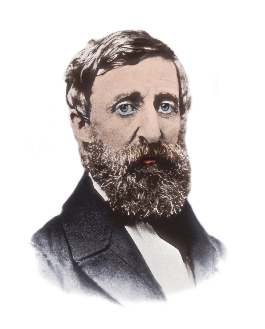 Henry David Thoreau (1817-1862) portréja - amerikai esszéista, költő, filozófus, abolicionista, természettudós, adóellenálló, fejlesztéskritikus, földmérő és történész alkotó: Unknown artist
