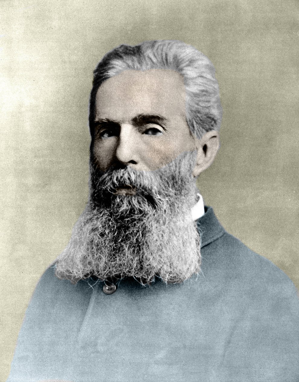 Herman Melville (1819-1891) amerikai regényíró portréja. alkotó: Unknown artist