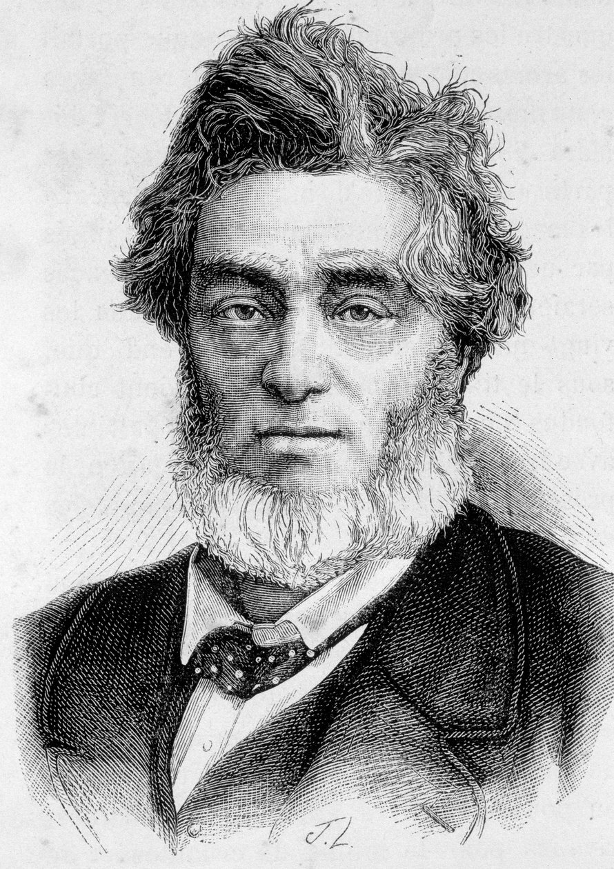 Jules Favre (1809-1880) francia politikus portréja. alkotó: Unknown artist