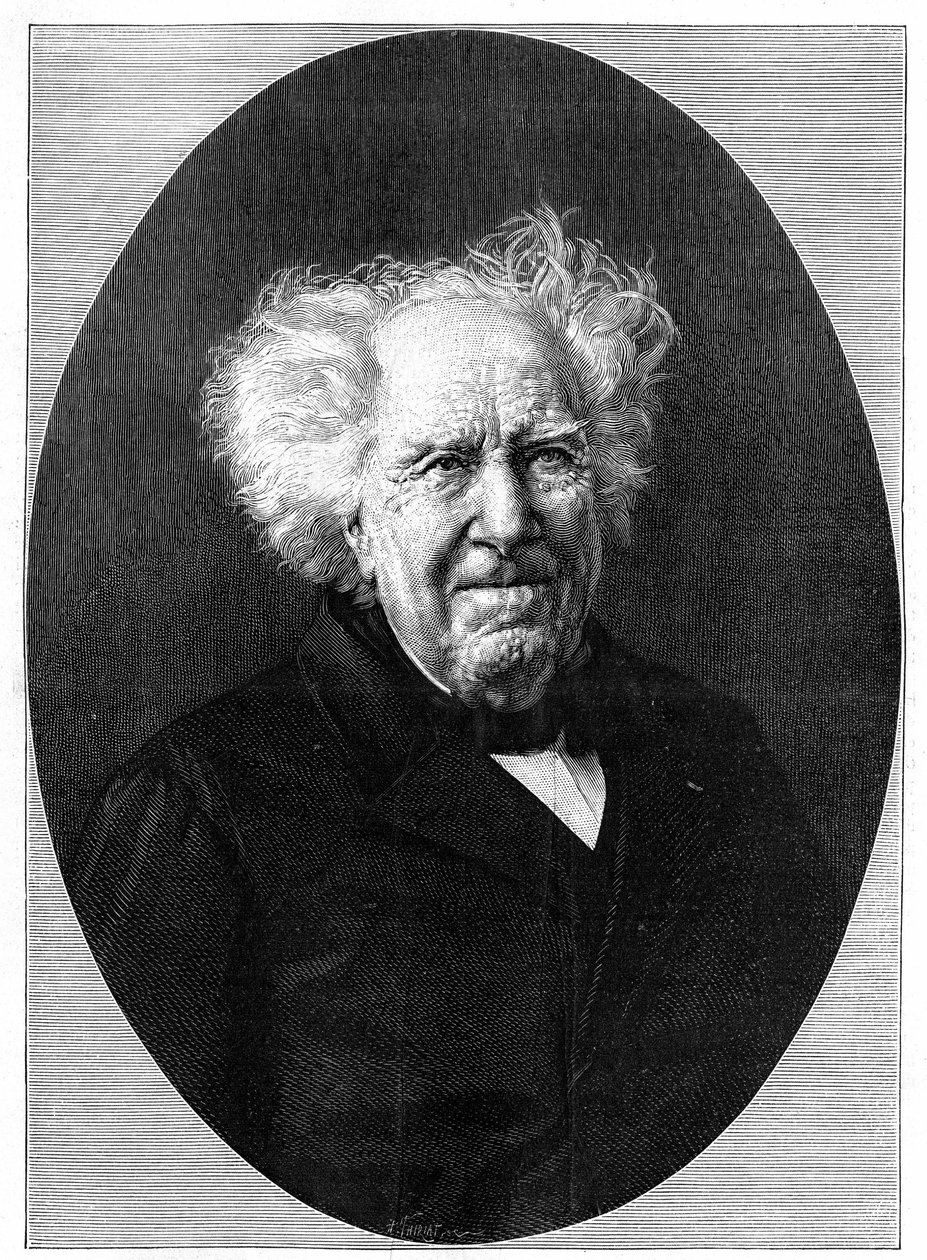 Michel Eugene (Michel-Eugene) Chevreul (1786-1889) francia kémikus portréja. Metszet a „természetbe: áttekintés a tudományokról és alkalmazásukról a művészetben és az iparban”” augusztus 28. alkotó: Unknown artist