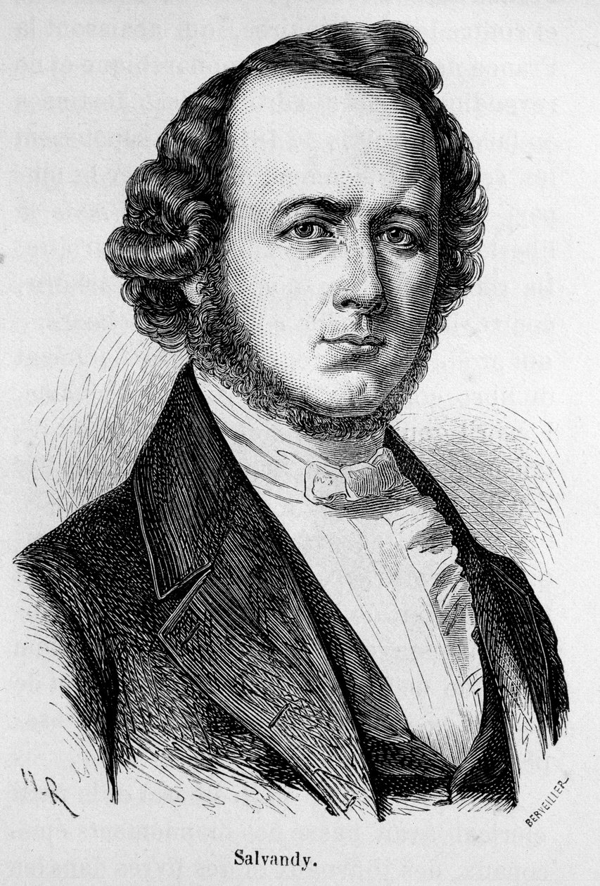 Narcissus Achilles, Salvandy gróf, francia politikus (1795-1856) portréja alkotó: Unknown artist