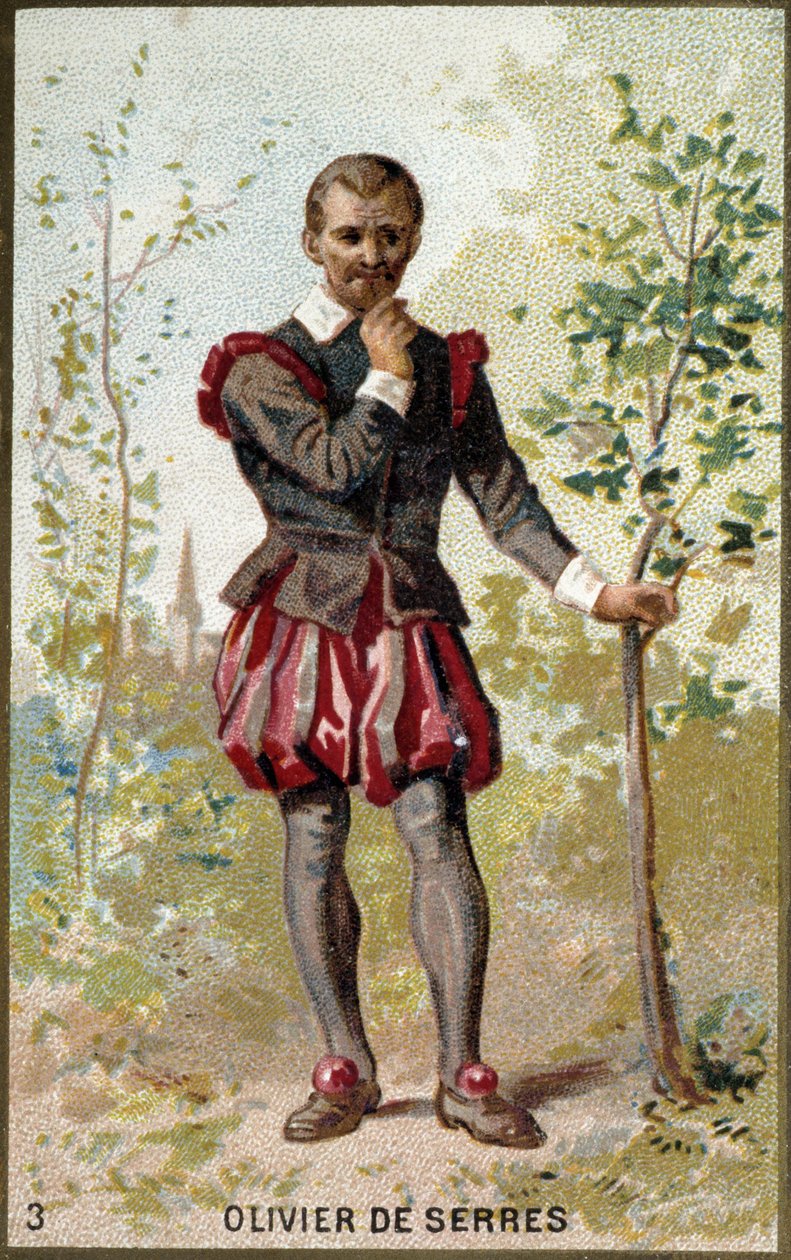 Olivier de Serres (1539 - 1619) francia agronómus portréja. 19. századi kromolitográfia. alkotó: Unknown artist