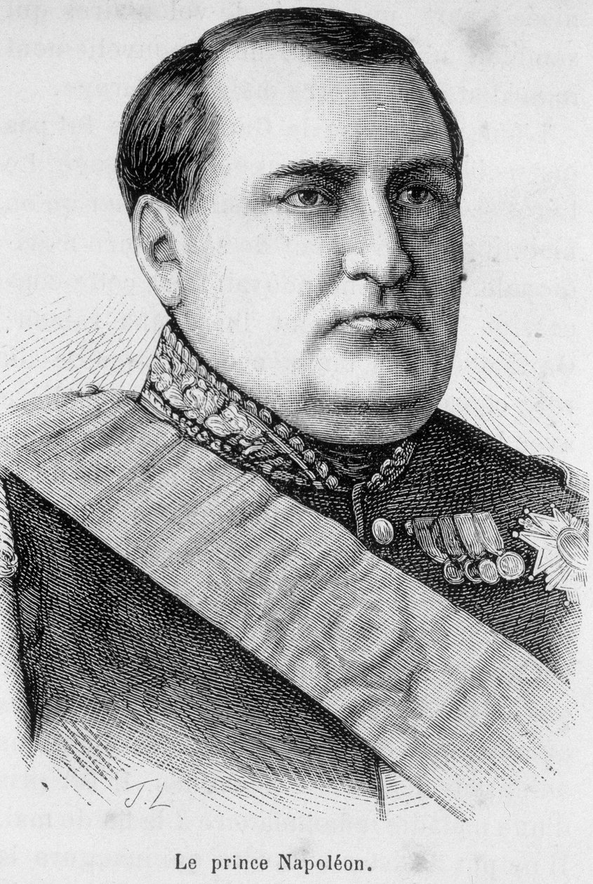 Napóleon herceg portréja alkotó: Unknown artist