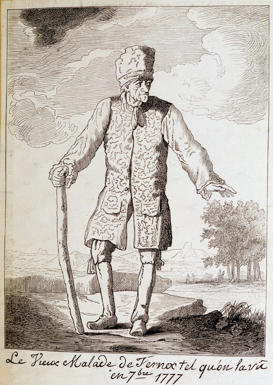 Voltaire (1694-1778) francia író és filozófus, idős portréja. alkotó: Unknown artist