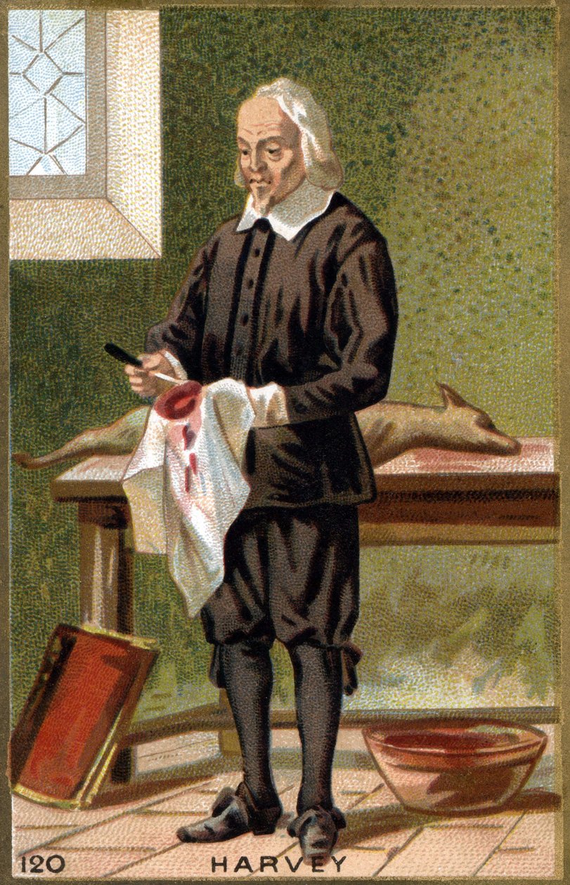 William Harvey (1578-1657) angol orvos portréja. 19. századi kromolitográfia. alkotó: Unknown artist