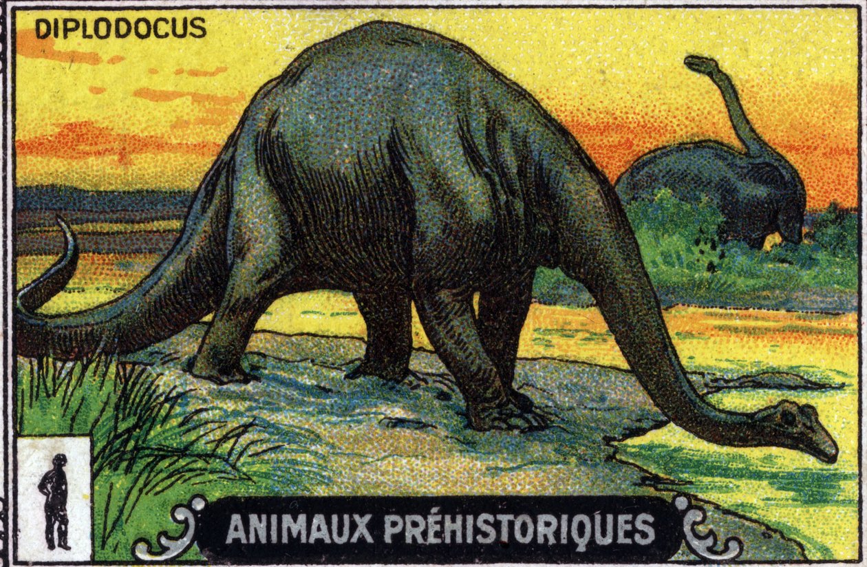 Őskori állat: diplodocus dinoszaurusz (chromo) alkotó: Unknown Artist