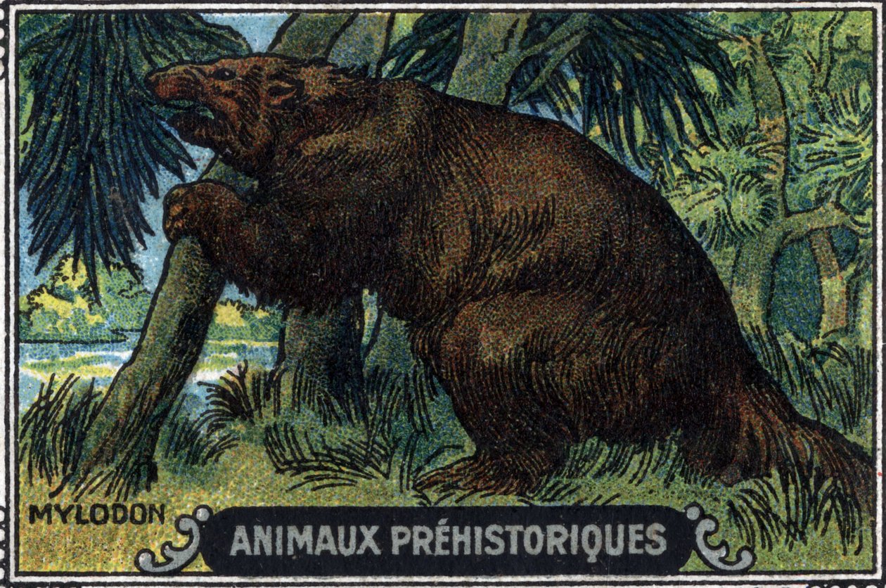 Őskori állat: mylodon. alkotó: Unknown Artist