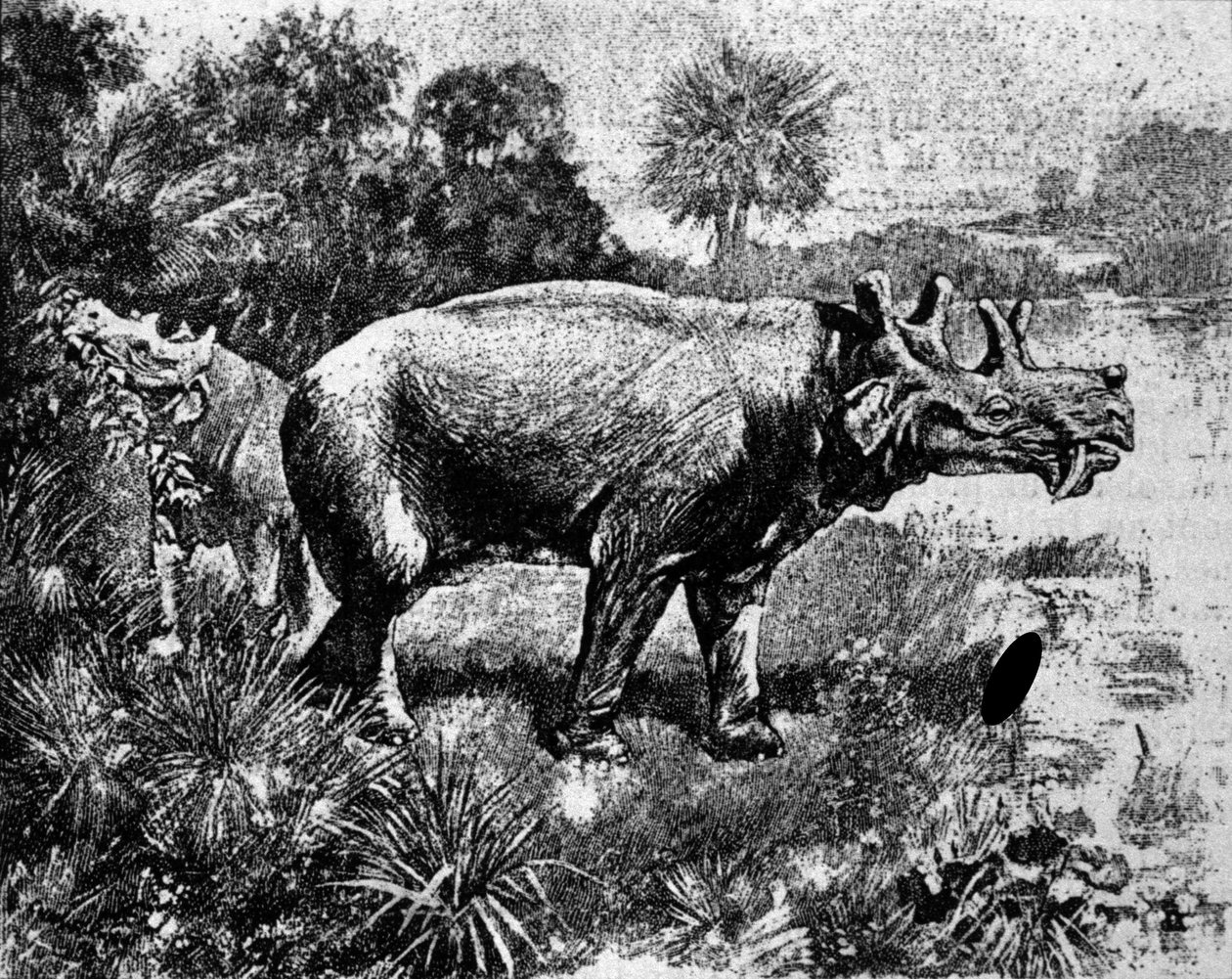 Őstörténet: egy négyszarvú Uintatherium dinoszaurusz ábrázolása. alkotó: Unknown artist