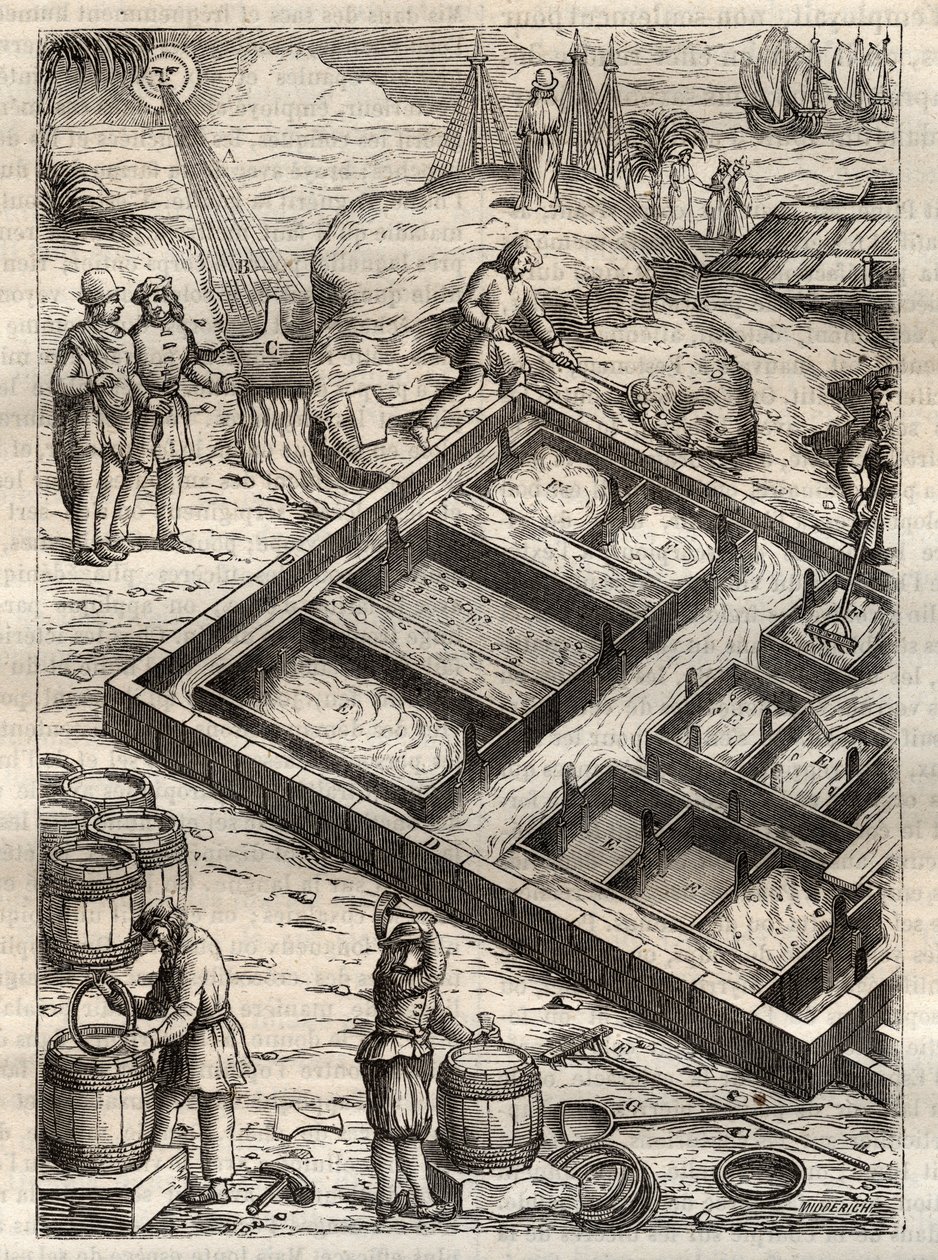Só előállítása tengervíz sótartókban történő elpárologtatásával. Georgius Agricola (Georg Bauer) „” De re metallica”-ból. (Basel 1556) - Sótermelés: a nagy tálakba öntött tengervíz elpárolog és sóraktárt hagy el. Metszet a „De re metallica”-ból, G alkotó: Unknown artist