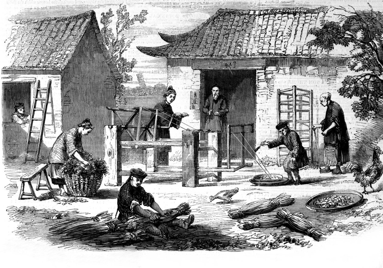 Selyemgyártás Kínában és a gyártás különböző szakaszai. alkotó: Unknown artist
