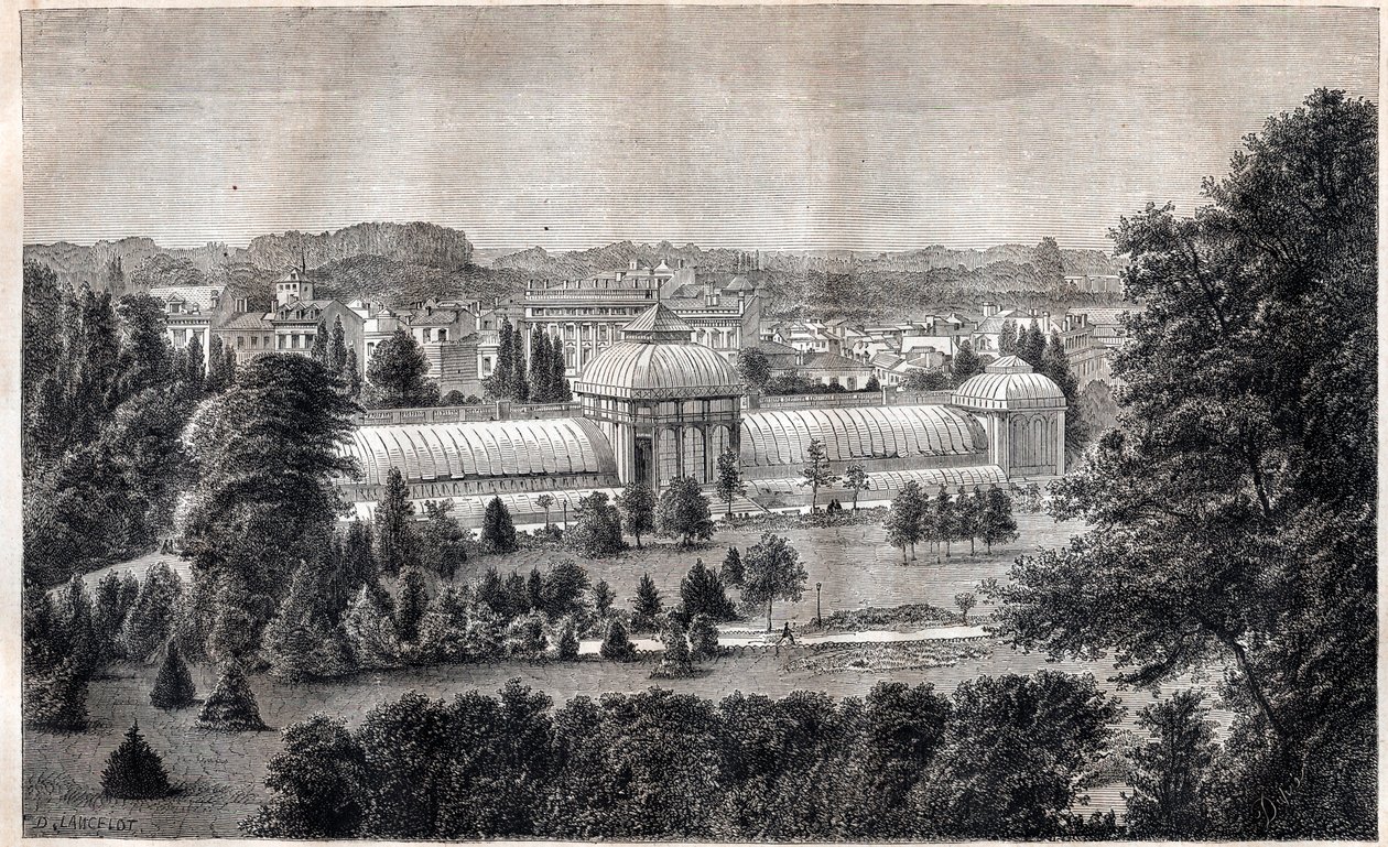 Bordeaux nyilvános kertje - Jardin public - Bordeaux - metszet 1867 körül alkotó: Unknown artist