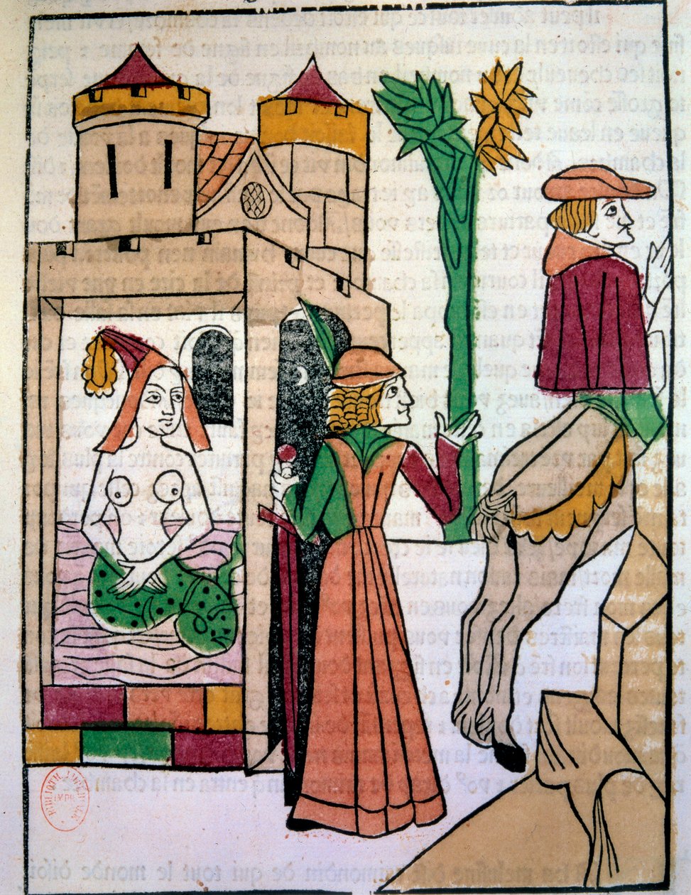 Raimondin feleségét, Melusine-t kémkedik a fürdőben. Kézzel megvilágított fametszet a „Histoire de Melusine”-ban (142. fólió), írta Jean d