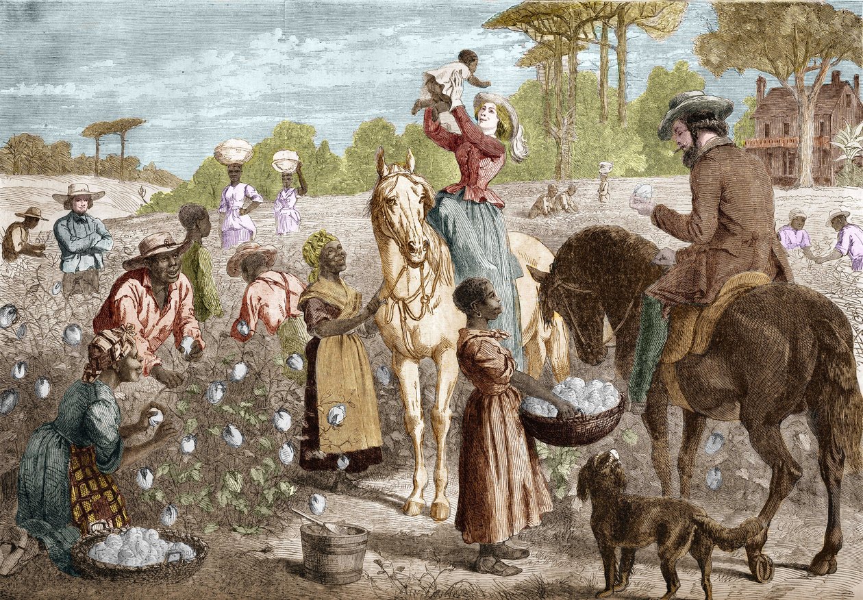 Újrahasznosított pamut egy házból az Egyesült Államok déli részén, 1864-ben. alkotó: Unknown artist