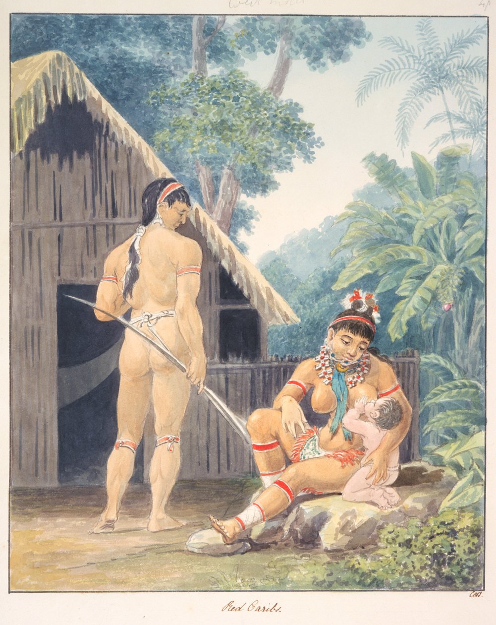 Red Caribs, c.1843-50 (watercolour) alkotó: Unknown artist