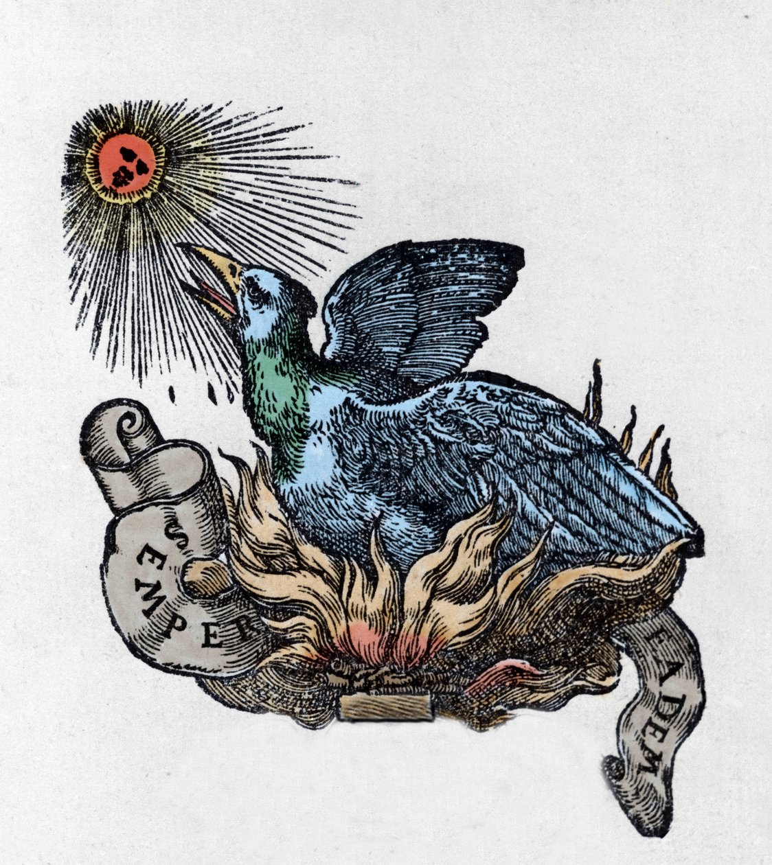 Főnix (vagy főnix), legendás madár ábrázolása, amely hamvaiból újjászületett. századi metszet alkotó: Unknown artist