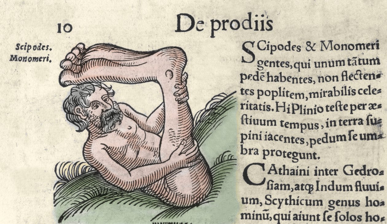 Sciapod szörny ábrázolása Wolfhart (Conrad Lycosthene) „The Book of Prodigiorum ac ostentorum Chronicon Basileae” 1557-es metszete alkotó: Unknown artist