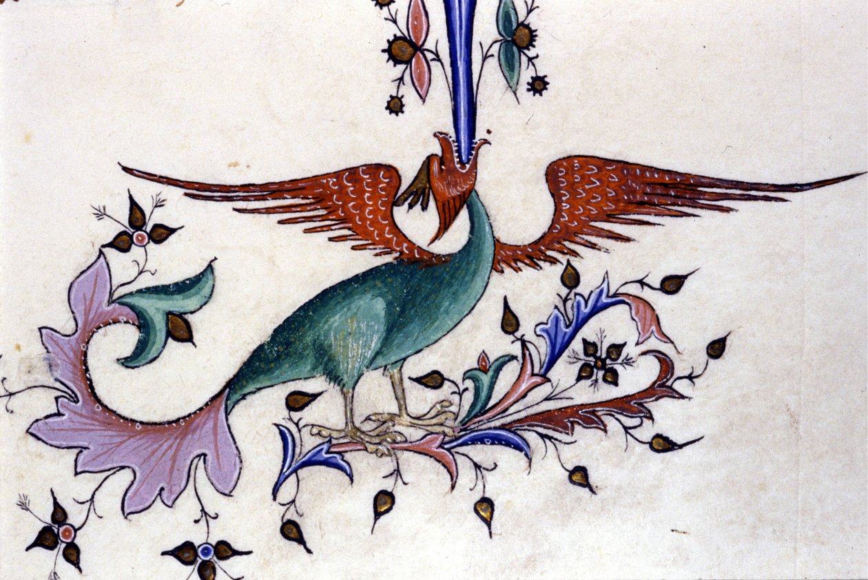 Sárkányszárny ábrázolása. 14. századi kézirat miniatűrje. Milánó, Biblioteca Nazionale Braidense. alkotó: Unknown artist