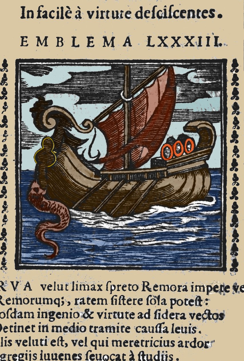 Egy remora ábrázolása, amely Plinius, Szent Ambrus és Rabelais történetei szerint úgy támadta meg a hajókat, hogy a farkát tapadókoronggal egy sziklához erősítette, és szájával elzárta a hajót. Metszet egy 17. századi műből alkotó: Unknown artist