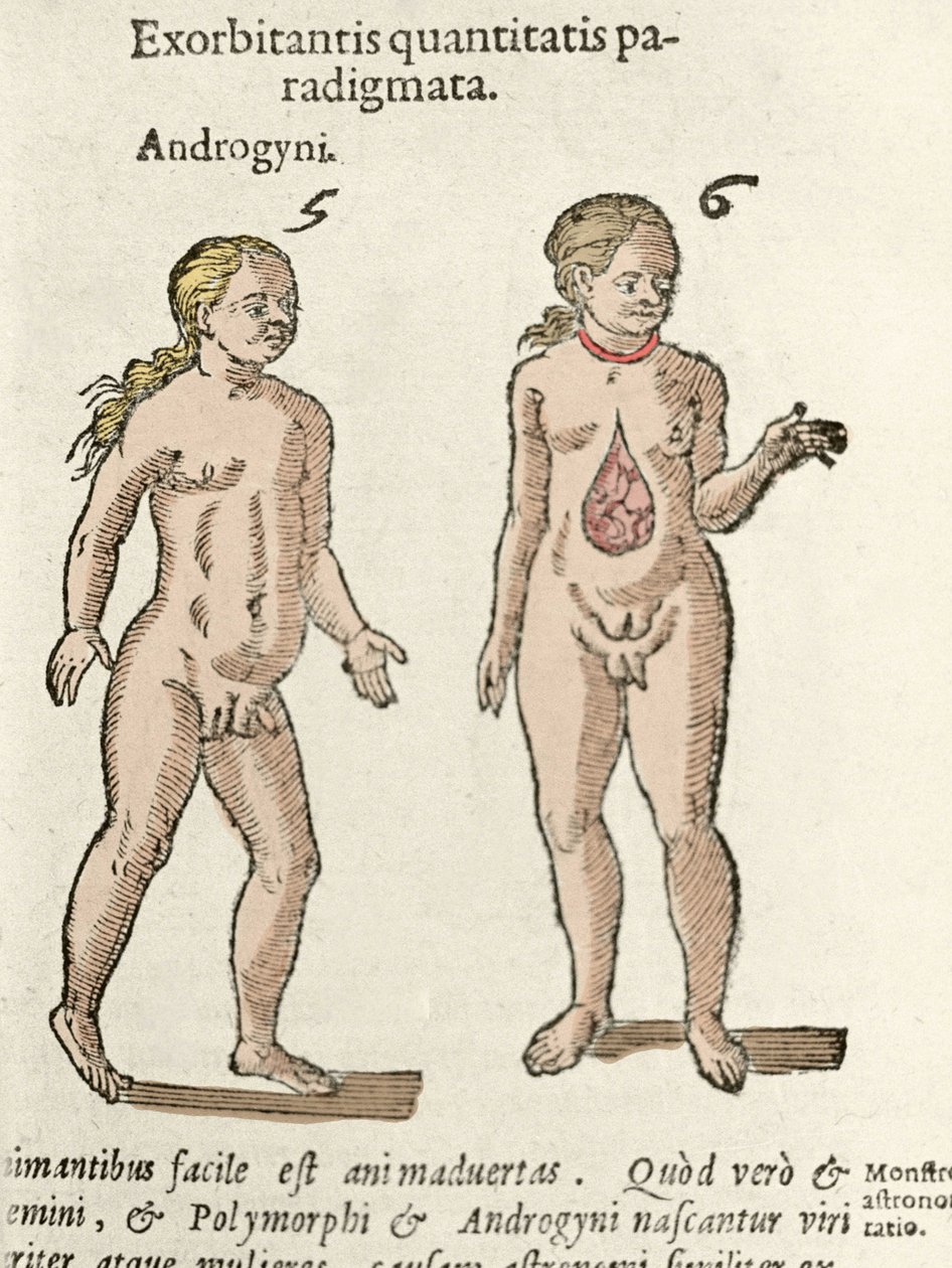 Egy androgün és egy hermafrodita ábrázolása. A tányér a De natura Divinis caracteris-ből”” – Cornelio Gemma 1575 alkotó: Unknown artist
