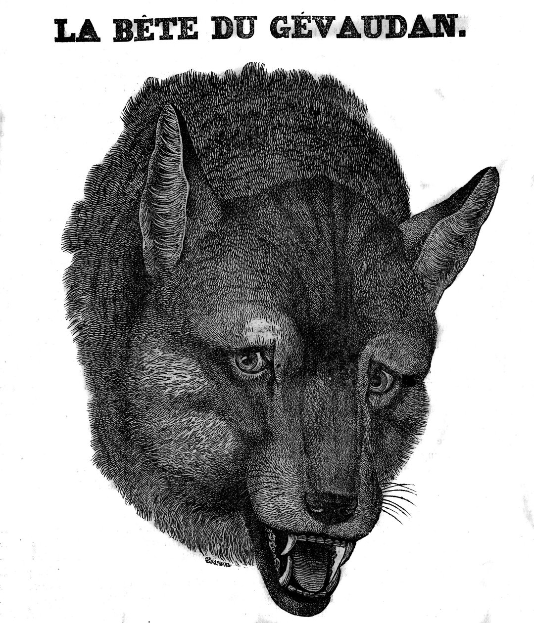 A Bete du Gevaudan képviselete. alkotó: Unknown artist