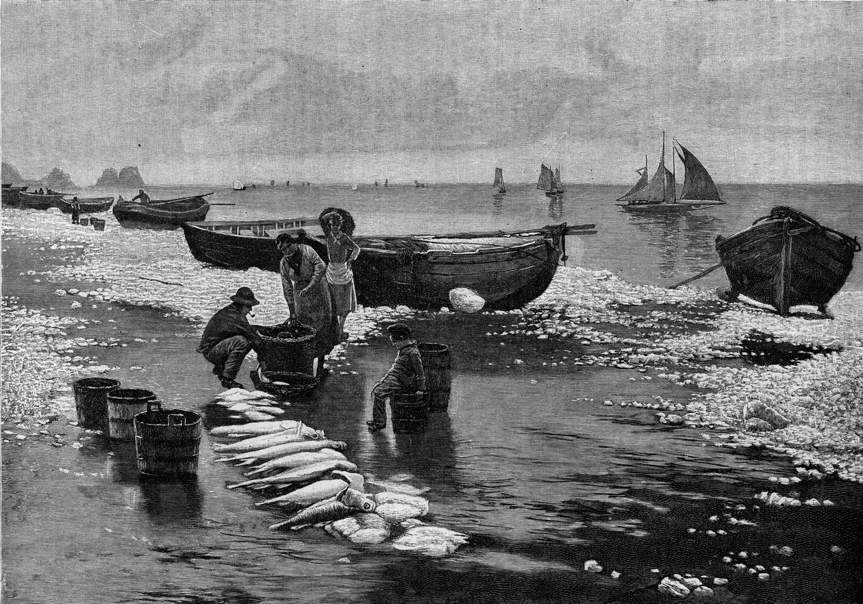 A bretagne-i Belle Isle-nél (Belle-Isle) sztrájkoló halászok visszatérése. Metszet a „” Le Journal de la jeunesse”-be alkotó: Unknown artist