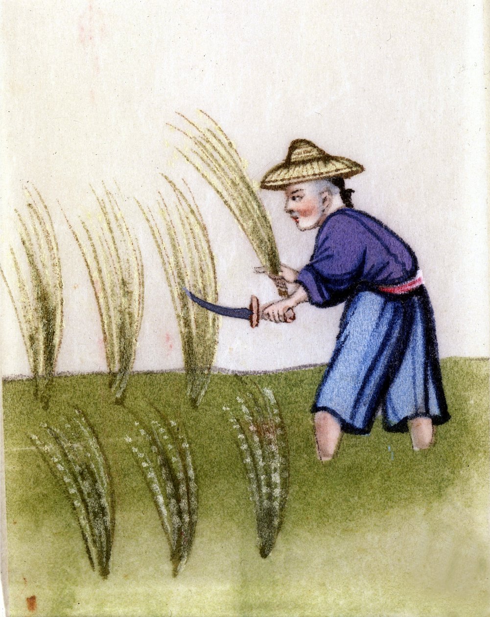 Rizstermesztés Kínában. Festés rizspapírra. Milánóban. alkotó: Unknown artist
