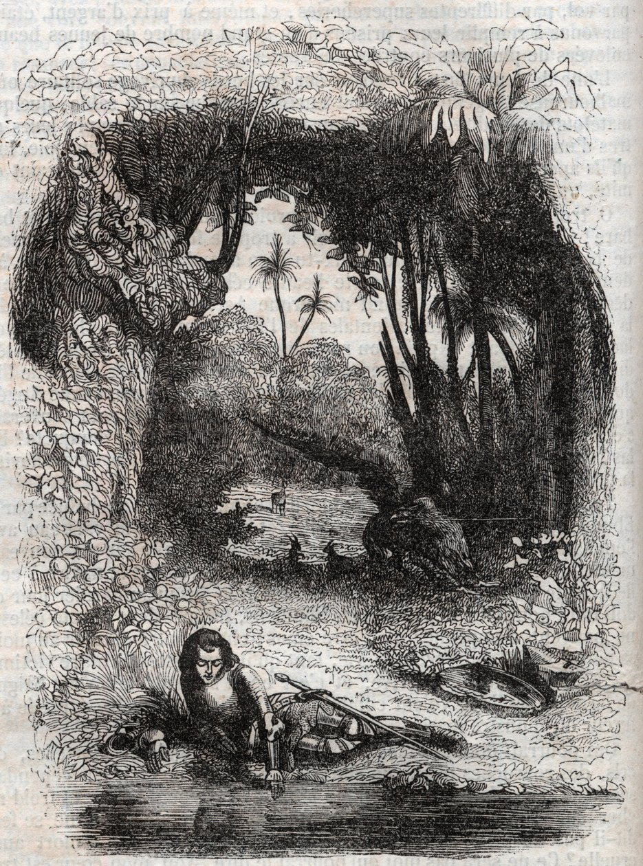 Ruggiero Alcina szigetén, - 1851-es metszet Ludovico Ariosto Orlando furioso (1516) című verséből, - Tressan gróf olasz nyelvről fordított kiadása, Gustave Harvard kiadása 1851 alkotó: Unknown artist