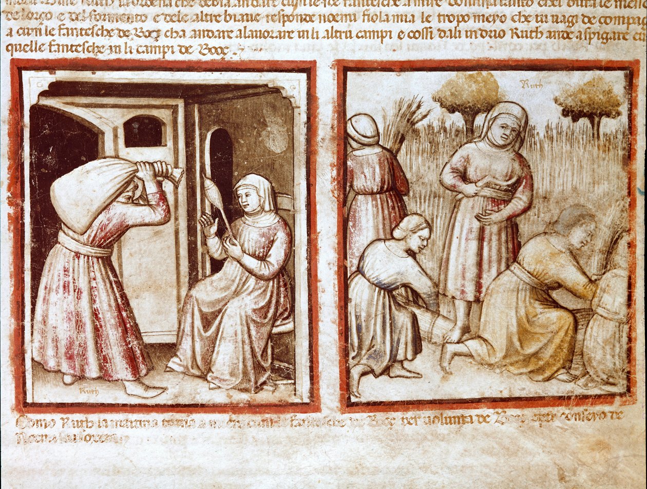 Ruth és Noémi (Naomi, Noémie) Boaz (Booz) területén dolgoznak Miniatűr a 212-es kódexből (vagy padovano-kódexből vagy Padovai Bibliából) 1390-1400 Rovigo, Accademia dei Concordi alkotó: Unknown artist