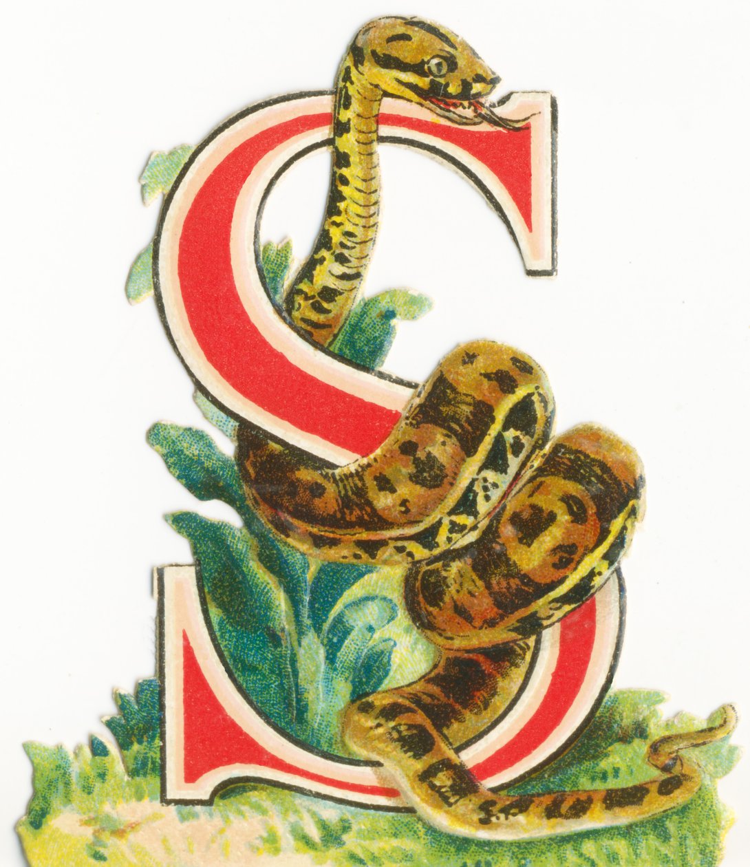 S: Kígyó alkotó: Unknown artist