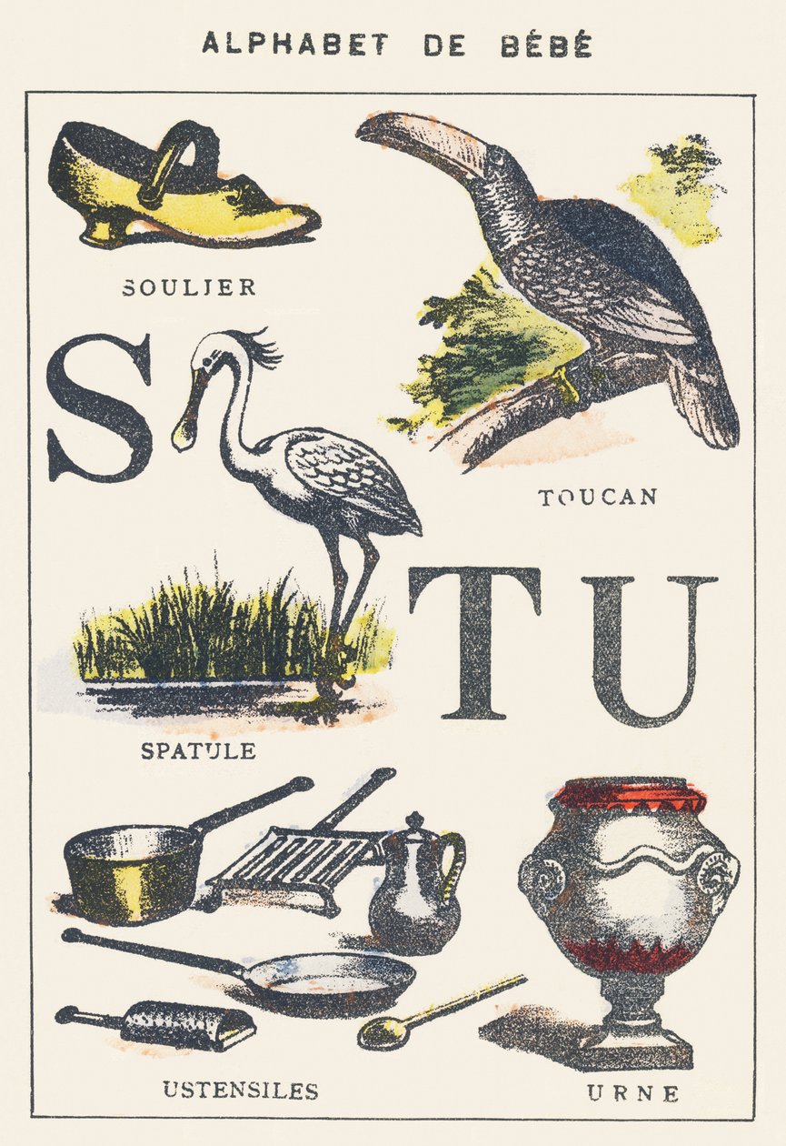 S T U: cipő, spatula, tukán, edények, urna alkotó: Unknown artist