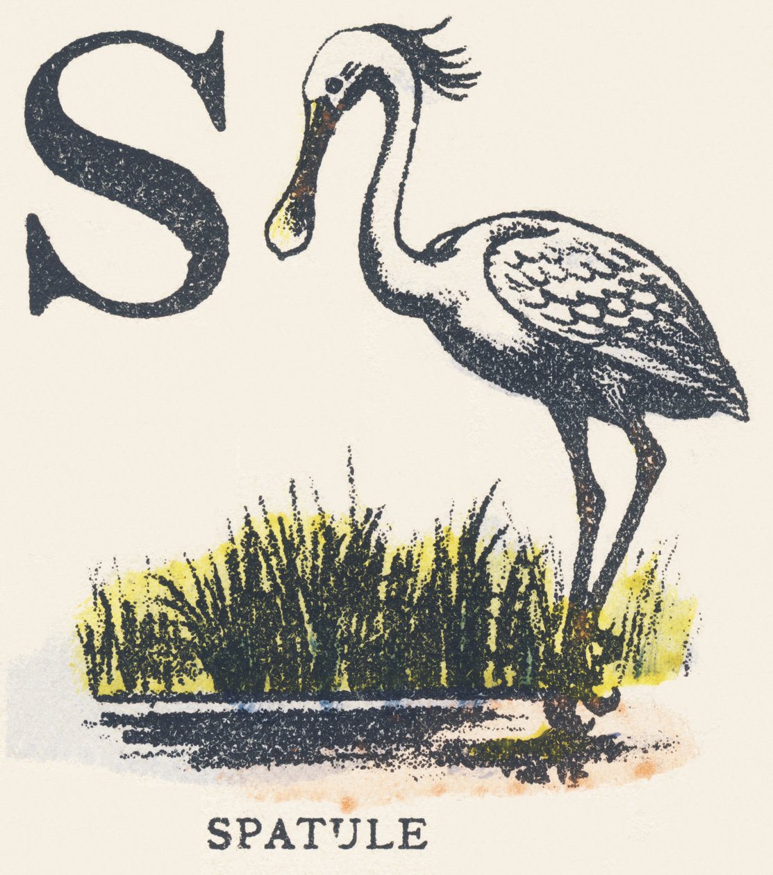 S: spatula alkotó: Unknown artist