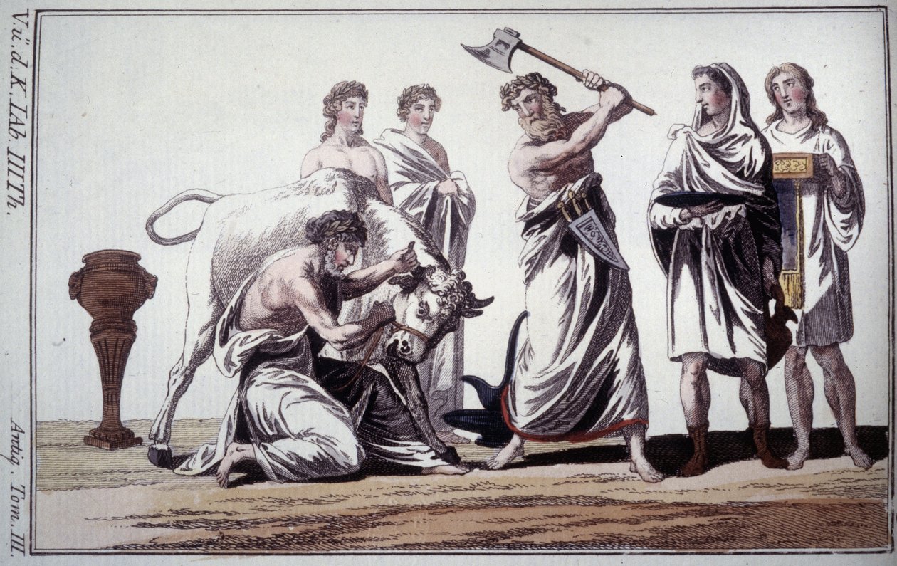 Egy bika feláldozása. Szokás a római ókorban. 19. század eleji metszet. alkotó: Unknown artist
